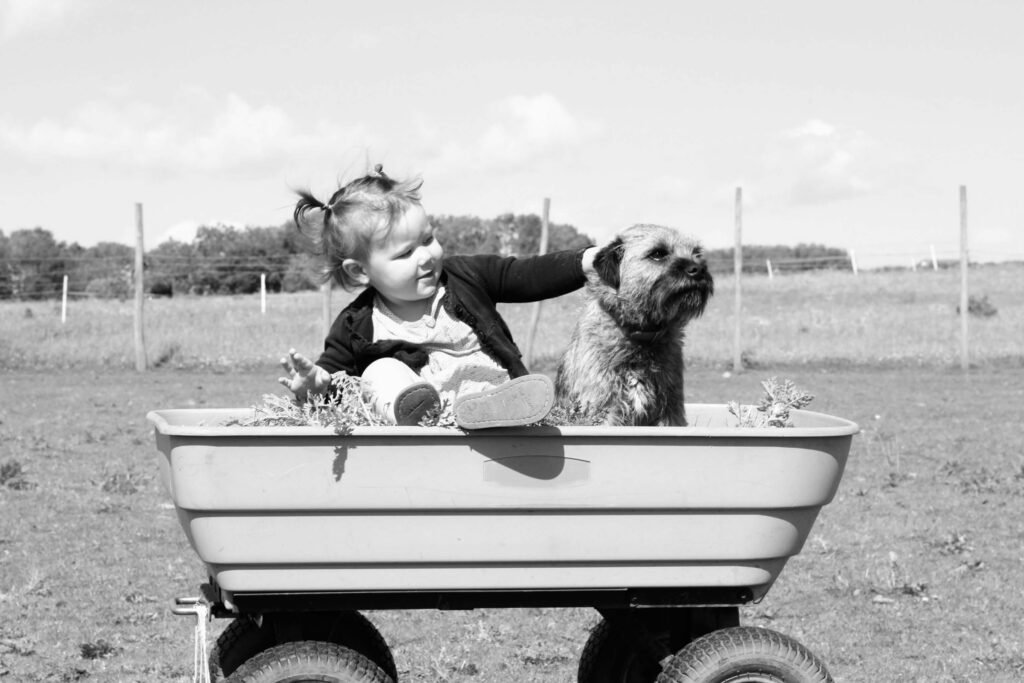 5 Best Dog Bike Trailers for Epic Adventures!