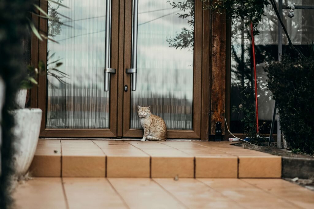 Top 5 Ultimate Cat Doors for Unmatched Feline Freedom!