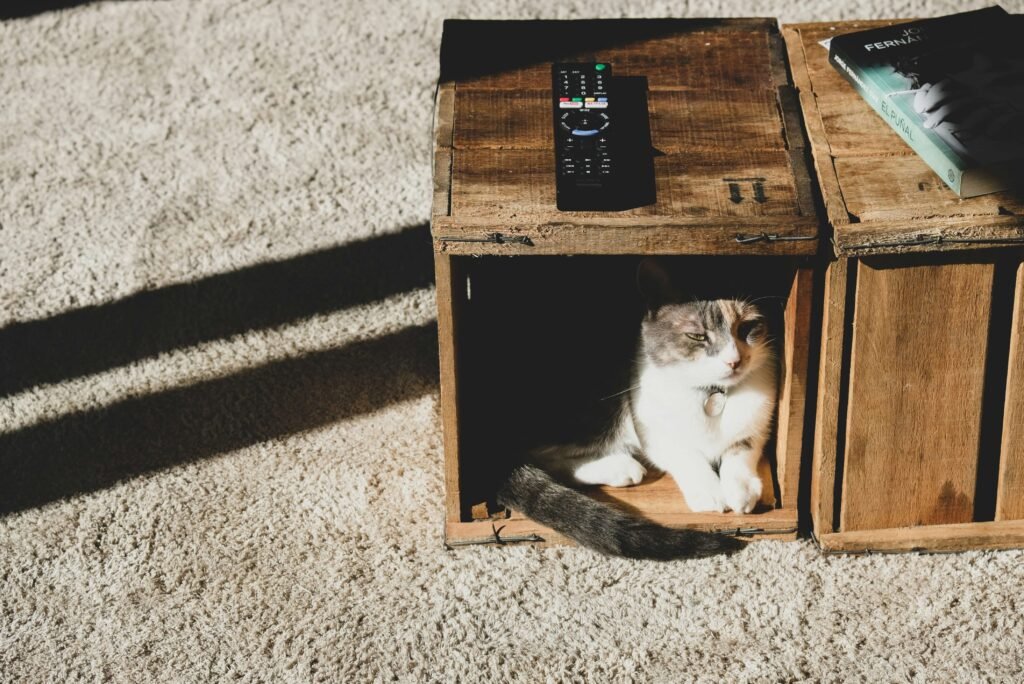 Top 5 Ultimate Heated Cat Houses for Winter Comfort!