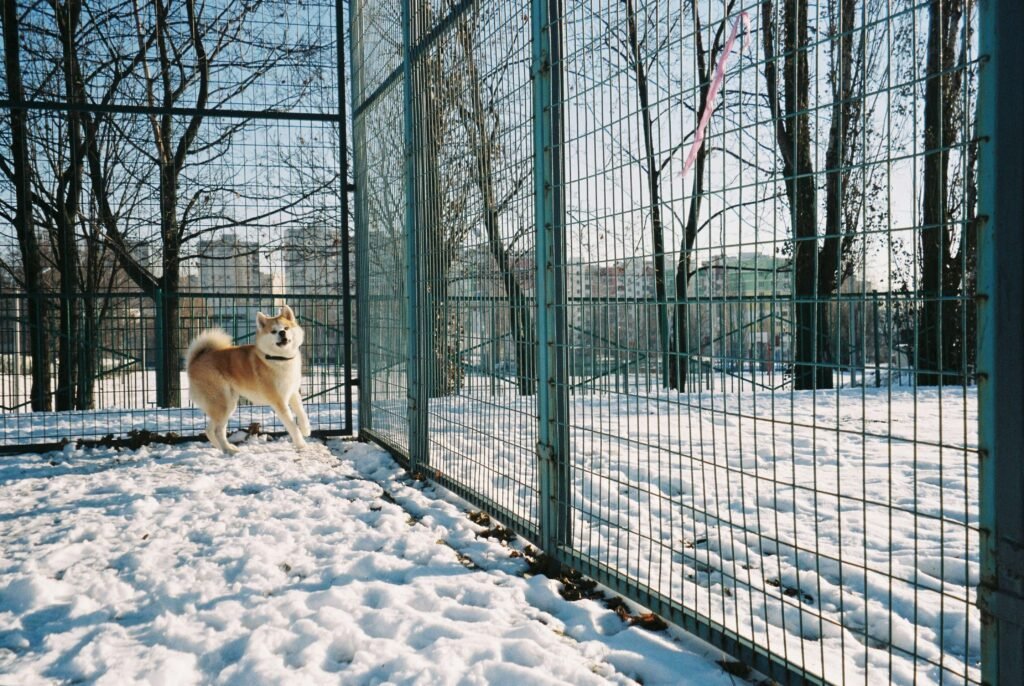 Top 5 Premium Dog Pens for Ultimate Safety & Fun!
