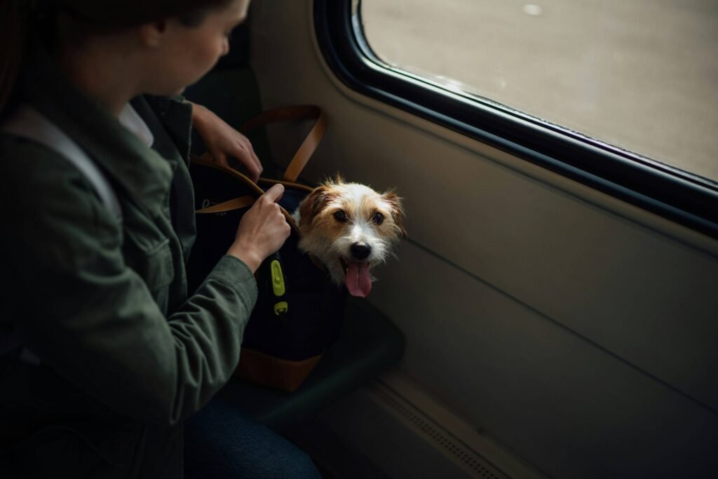 Top 5 Essential Dog Carriers for Safe & Comfortable Travel!