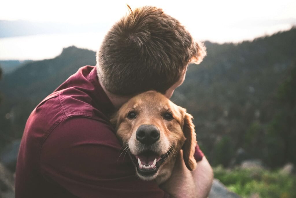 Top 5 Best Dog Conditioners for Ultimate Coat Shine!