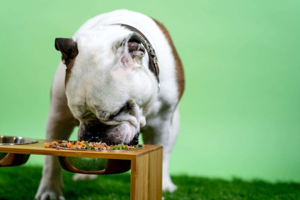 Top 5 Best Diabetic Dog Food Options for Ultimate Health!