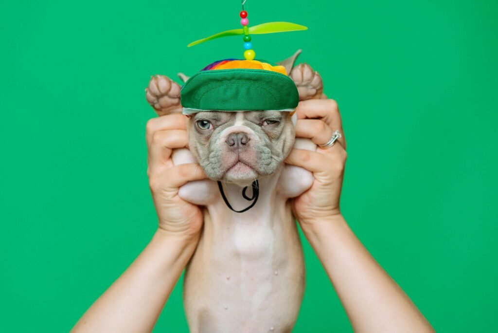 Top 5 Ultimate Dog Proof Trash Cans for Pet Owners!