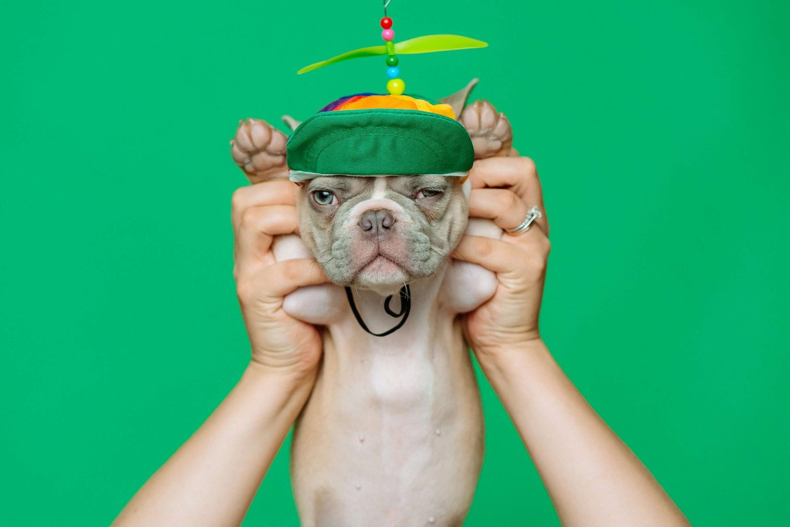 Top 5 Ultimate Dog Proof Trash Cans for Pet Owners!