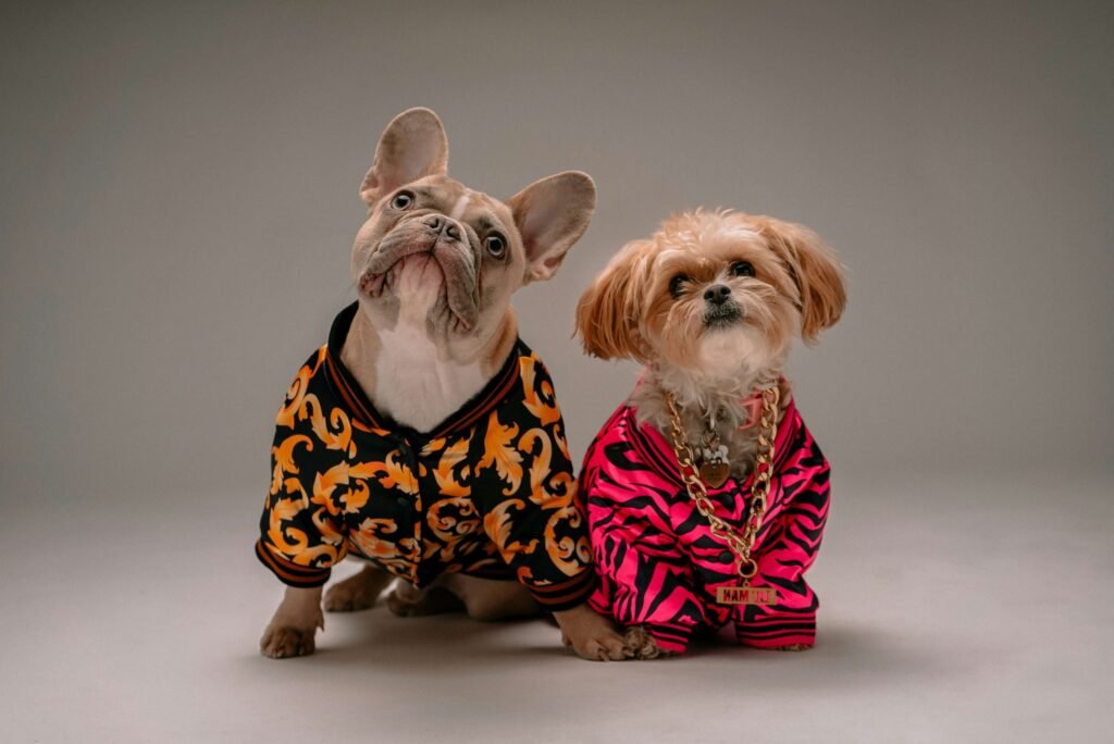 Top 5 Essential Dog Clothes for Ultimate Comfort & Style!