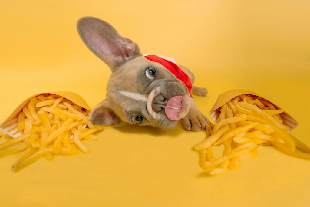 Top 5 Best Turkey Dog Food Options for Ultimate Nutrition!