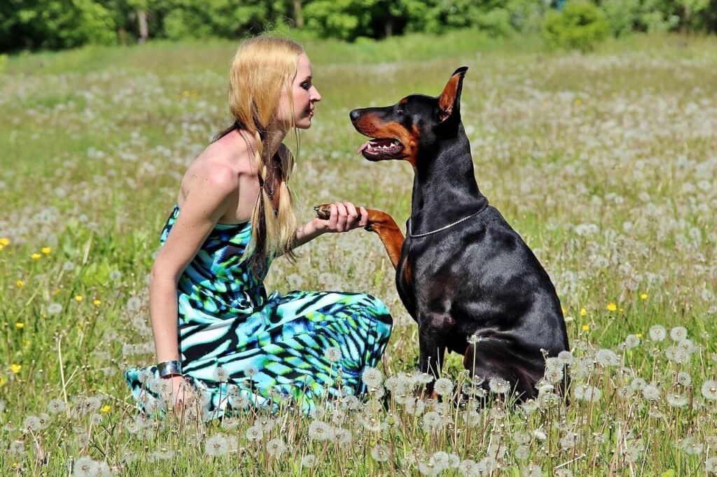 How to Stop My Dog from Biting When Excited: Best 7 Tips!
