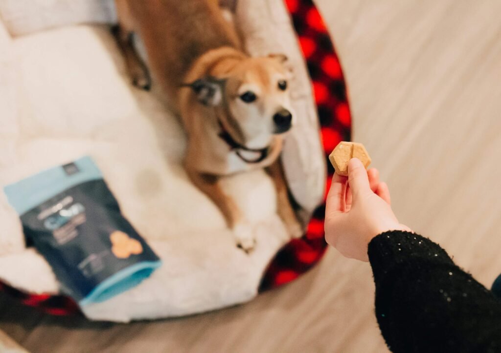 High-Value Dog Treats: 7 Pro Tips to Pick Perfect Treats!