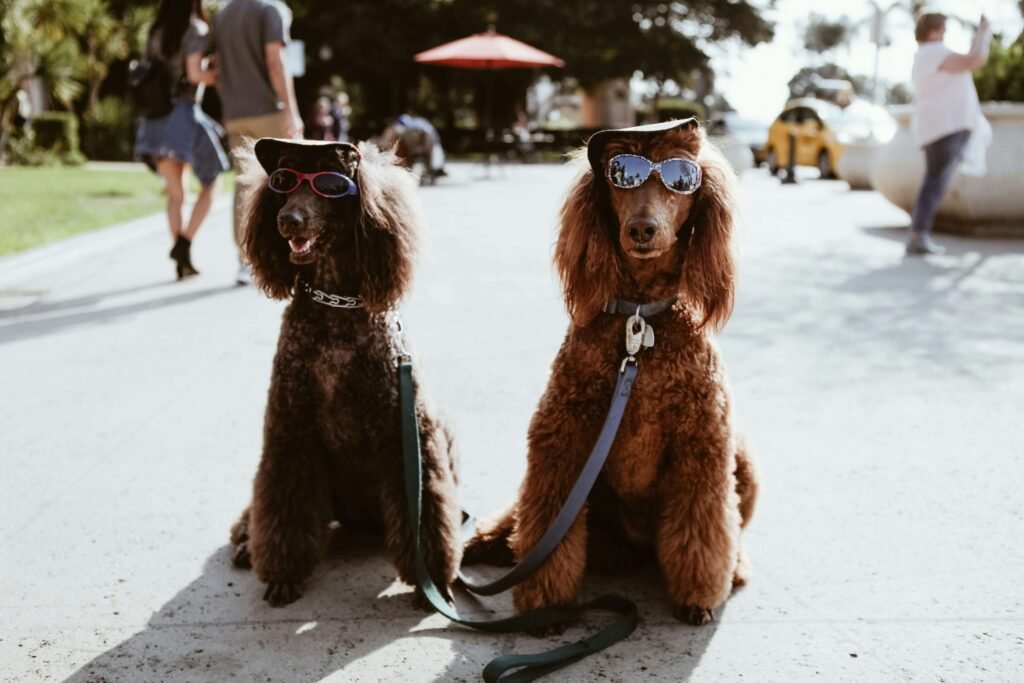 Gangster Dog Names for Girls: Best 7 Tips!