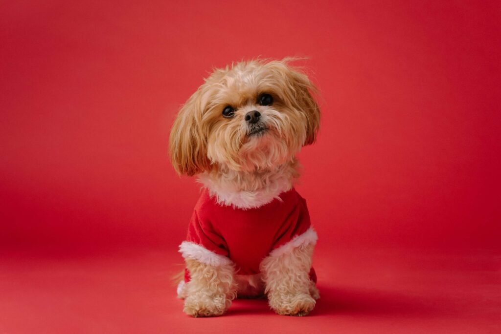 Top 4 Stylish Dog Scarves to Transform Your Pup's Look!