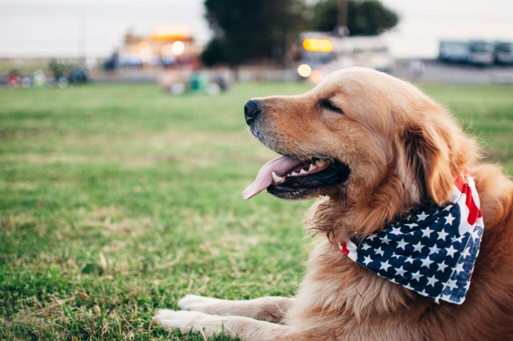 Dog Breathing Heavy? 7 Quick Fixes & When to Worry!