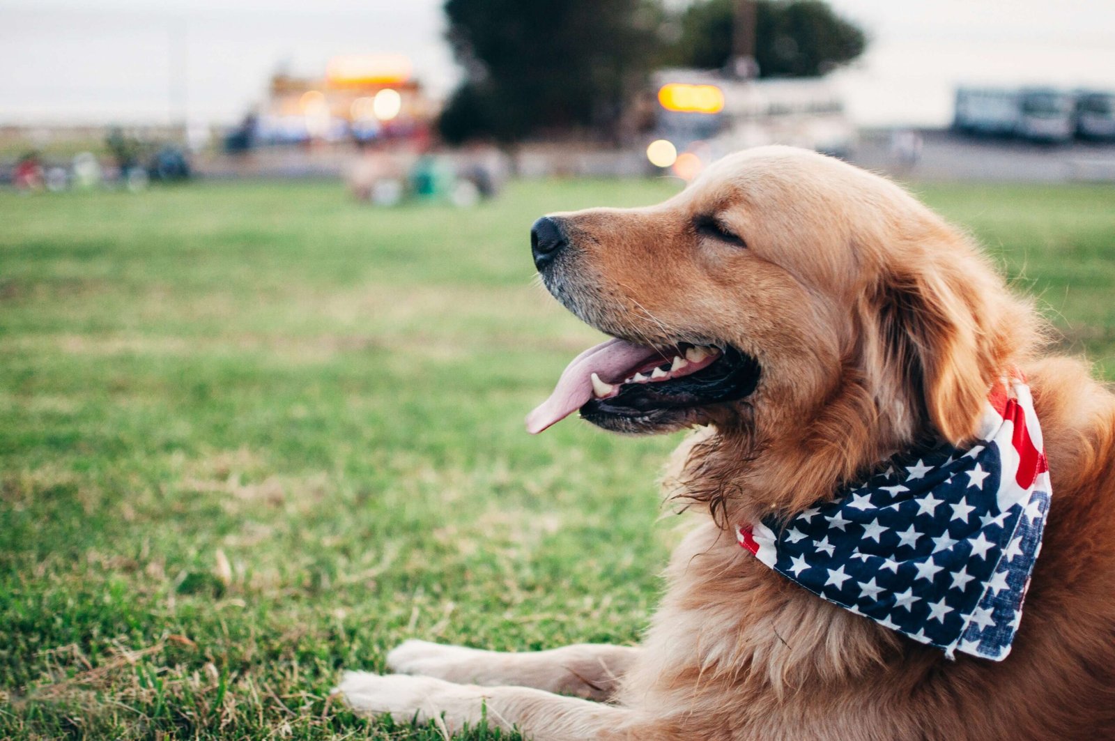 Dog Breathing Heavy? 7 Quick Fixes & When to Worry!