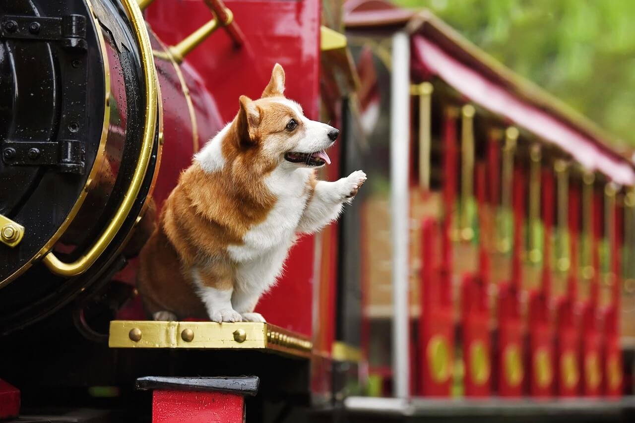 How Much Chocolate is Toxic for a Dog? Best 7 Expert Tips!