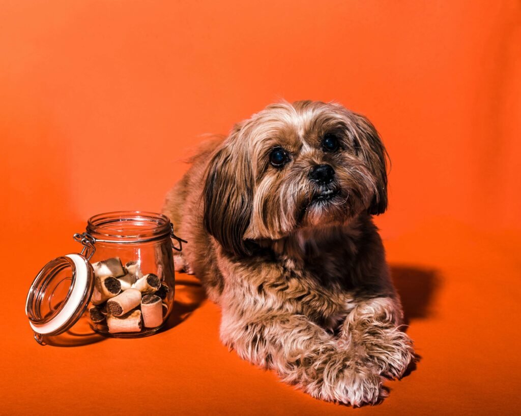 Homemade Dog Treats: Best 7 Expert Tips!