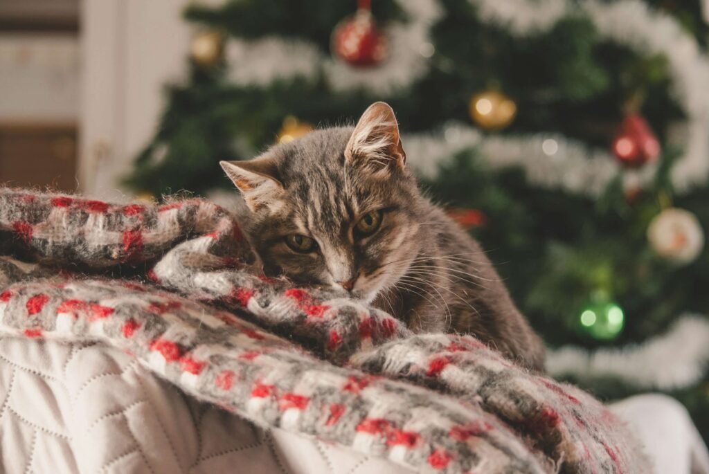 Why Is My Cat Throwing Up Brown Liquid? Best 7 Health Tips!
