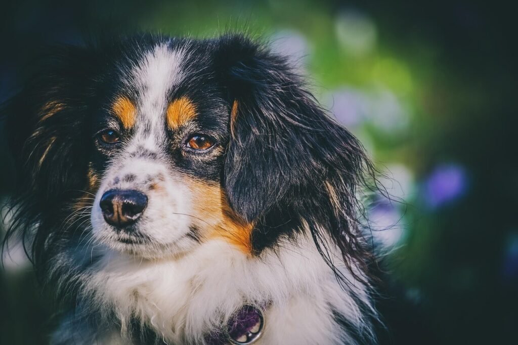 Why Does My Dog Eat So Fast? Best 7 Health Tips!