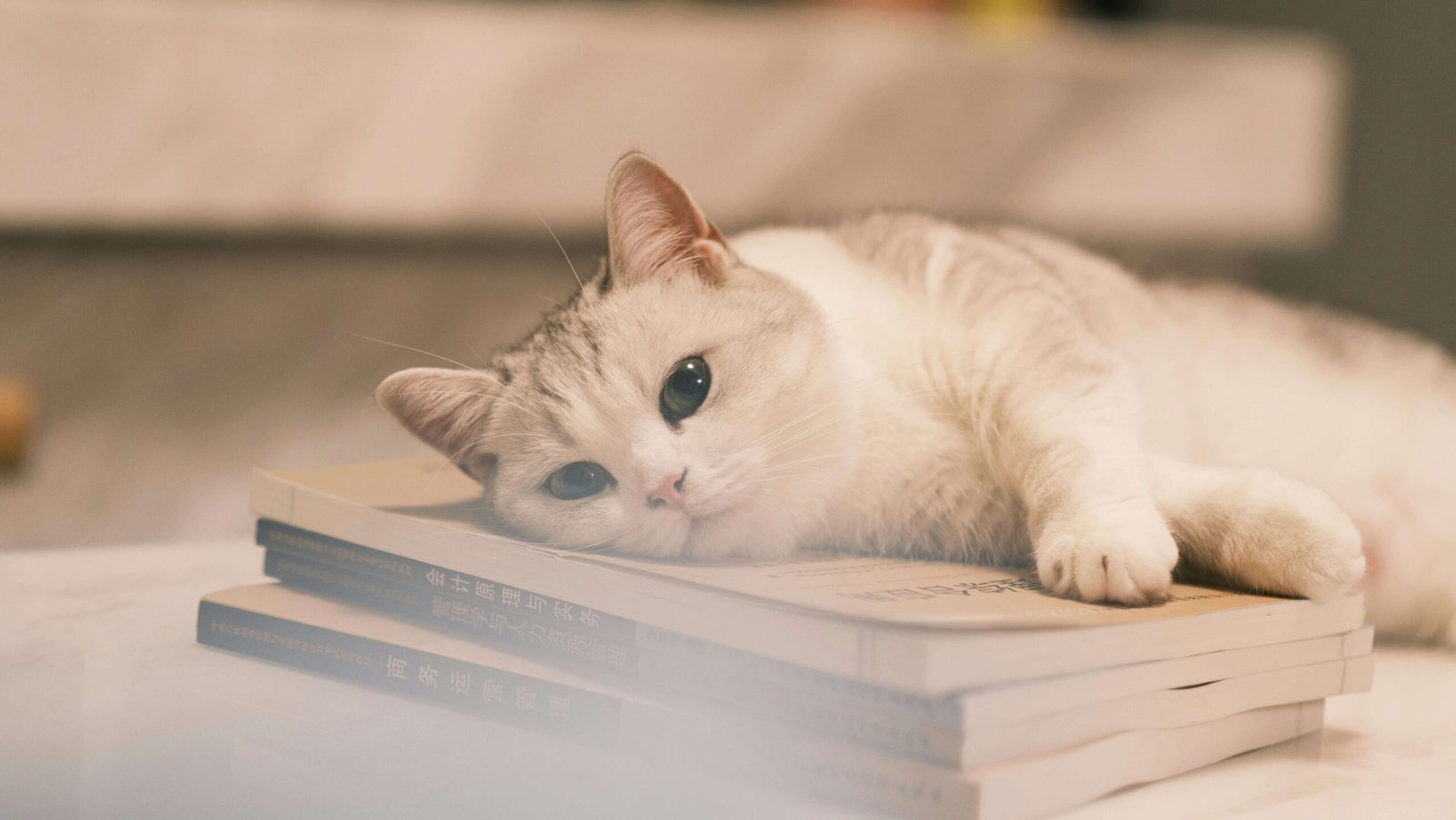 Understanding the Costs of Cat Cataract Surgery: Best 7 Tips