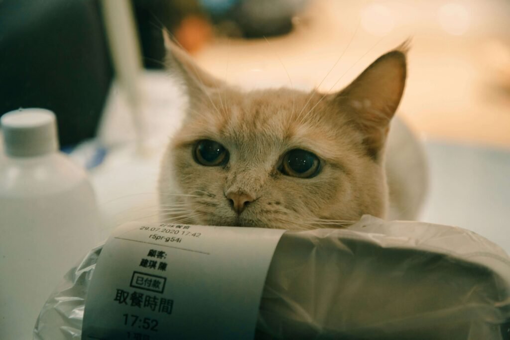 Understanding Guar Gum in Cat Food: Best 7 Health Tips!