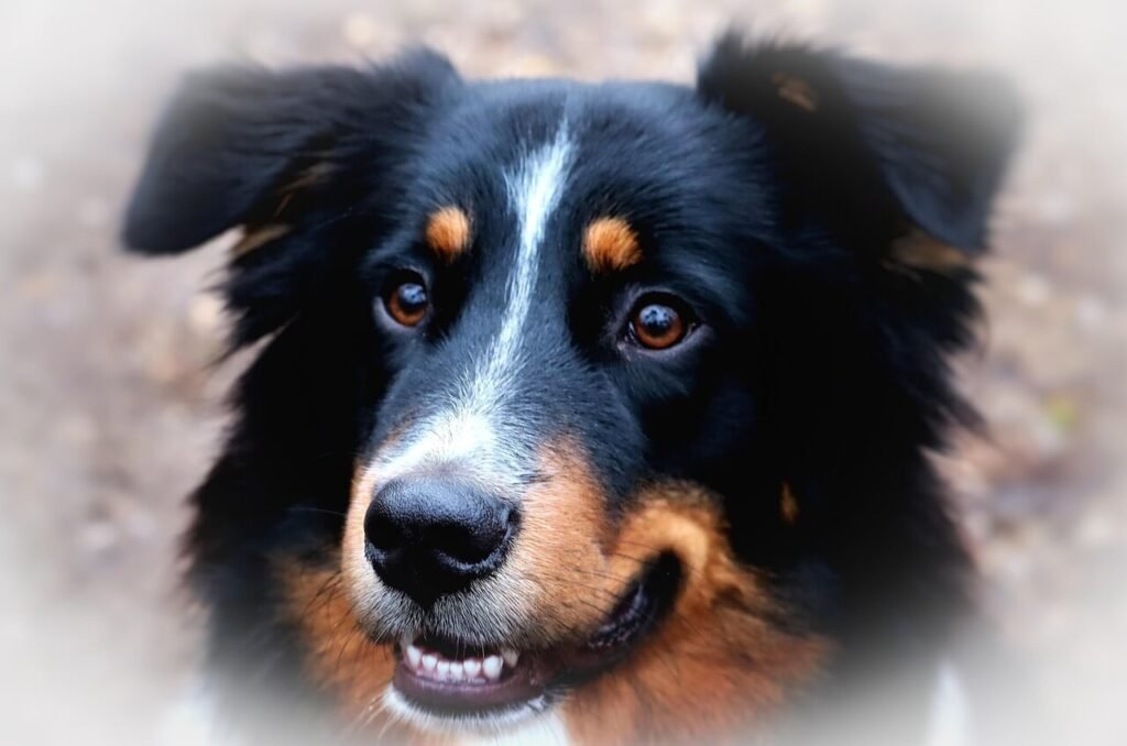 Nature-Inspired Dog Names for Girls: Best 7 Expert Tips!