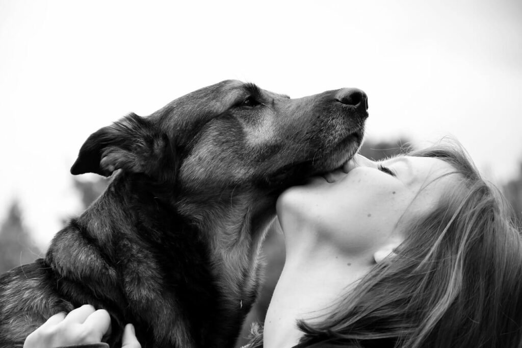 When Your Dog Isnt Pooping After Diarrhea: Best 7 Tips!