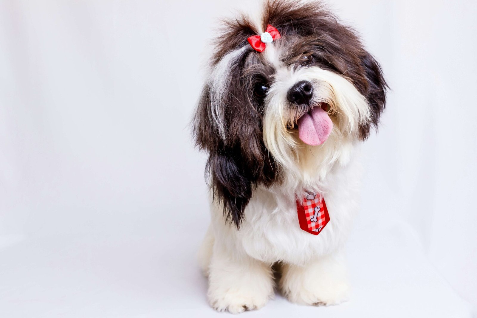 How to Treat Dog Urine Spots on Grass: Best 7 Health Tips!