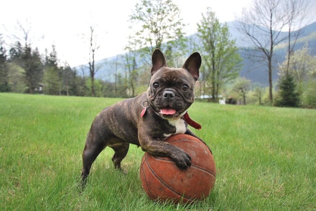 The Costs of Dog Tumor Removal: Best 7 Expert Tips!