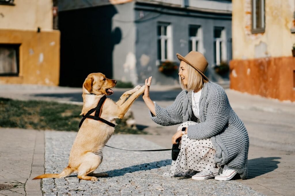How Much Do Dog Trainers Make? Best 7 Expert Tips!