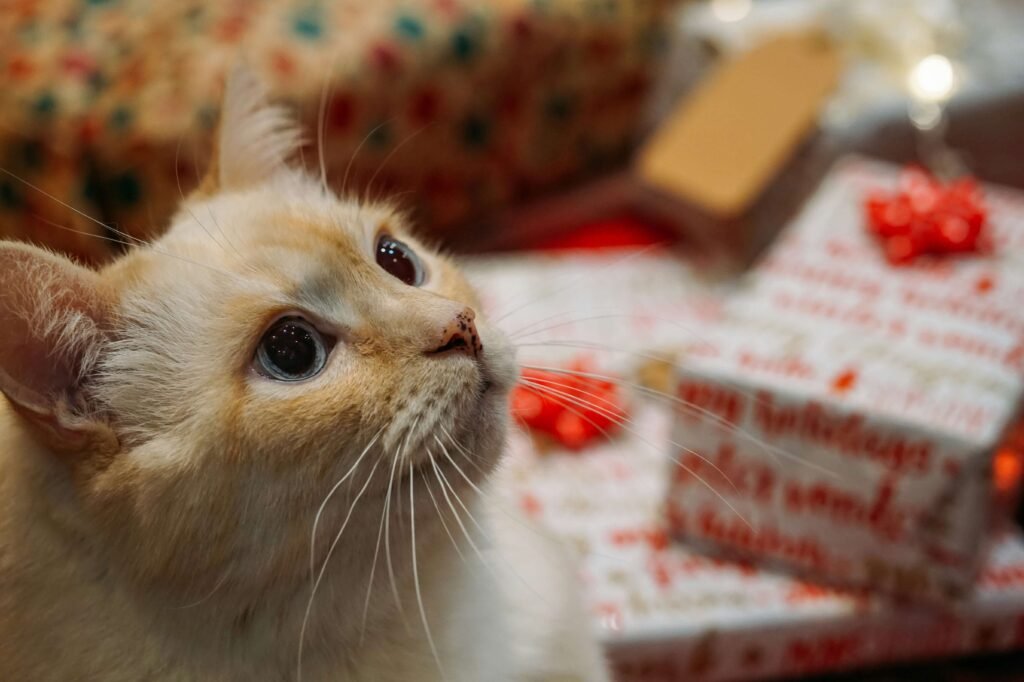 Why Cats Stealing Food: Best 7 Expert Tips!