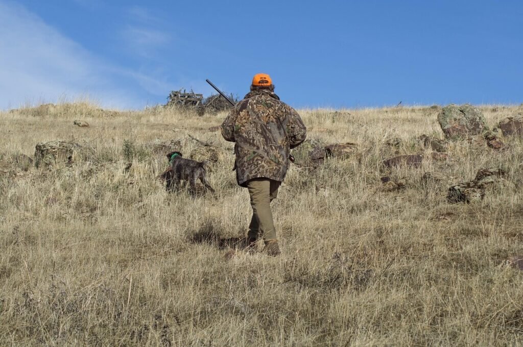 How to Train a Hunting Dog: Best 7 Expert Tips!