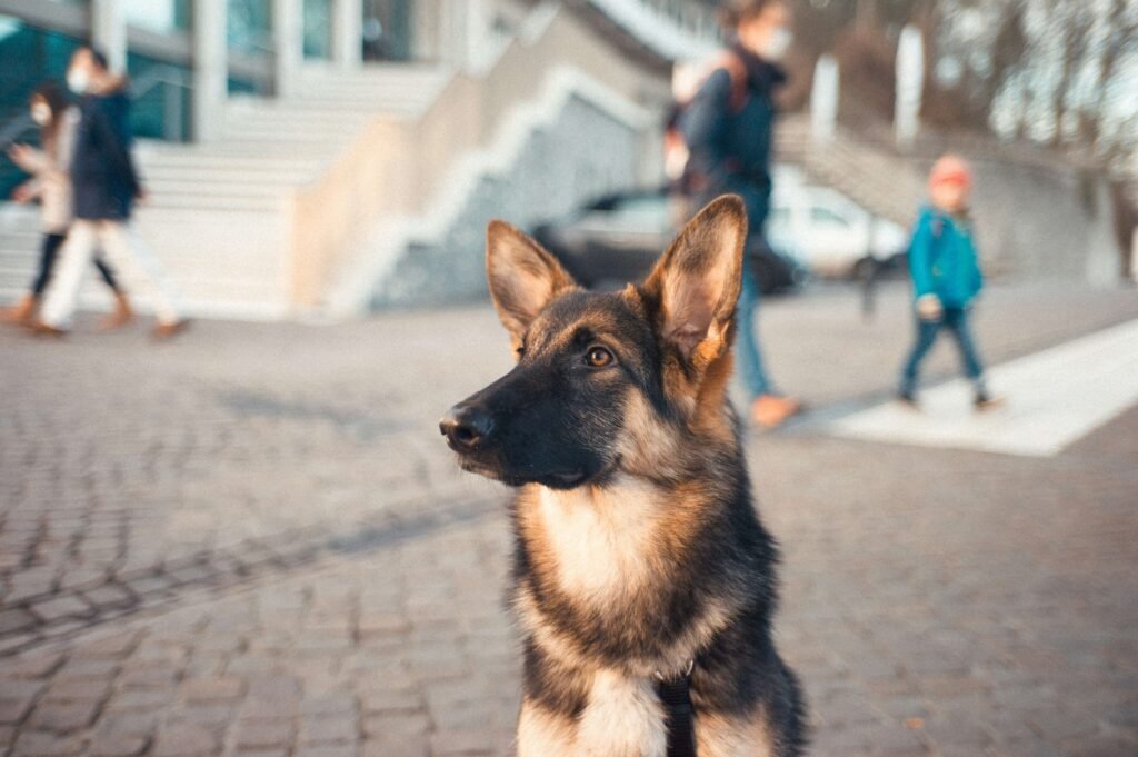 Dog Poop Encased in Membrane: Best 7 Expert Tips!