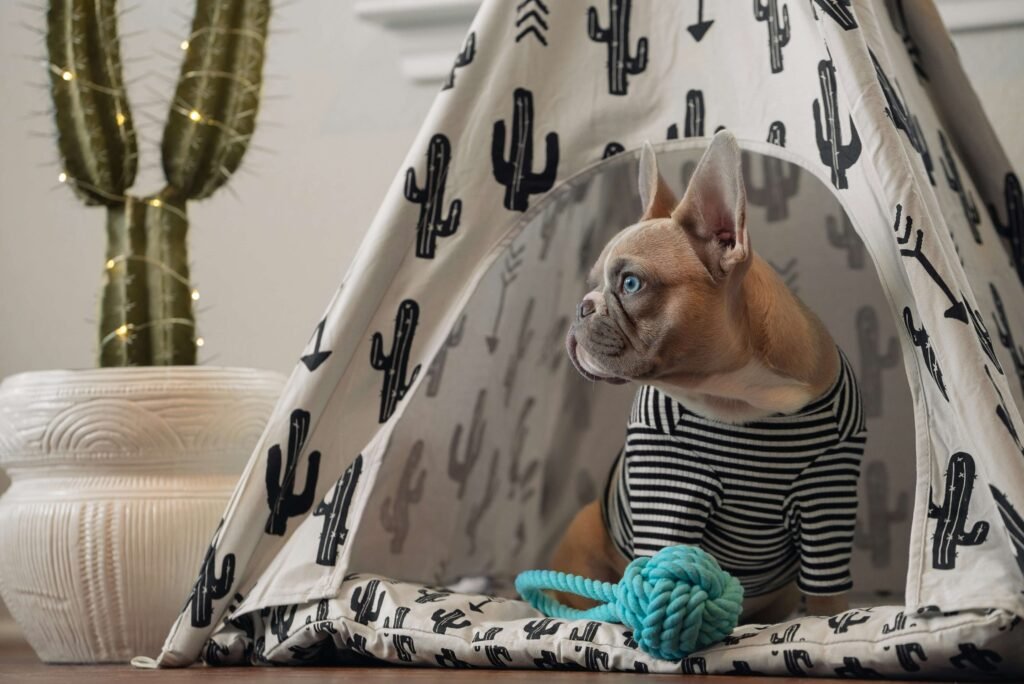 Dog Paw Pad Peeling: Best 7 Health Tips!