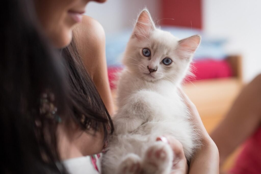 Why Does My Cat Lay on My Clothes? Best 7 Behavior Tips!