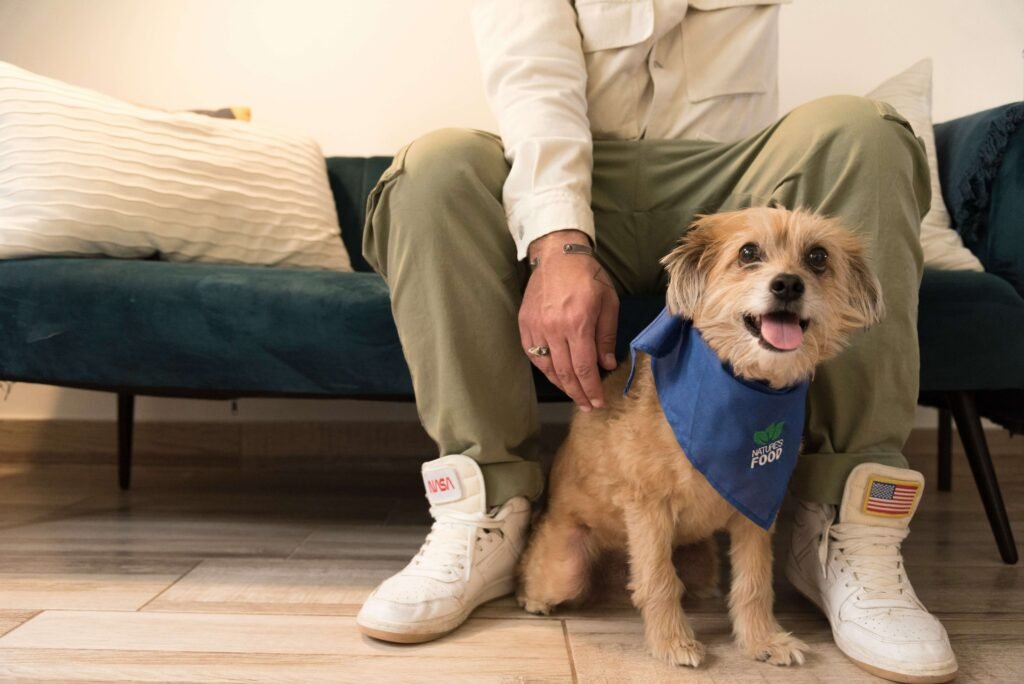 Can Dogs Eat Broccoli? Best 7 Expert Tips!