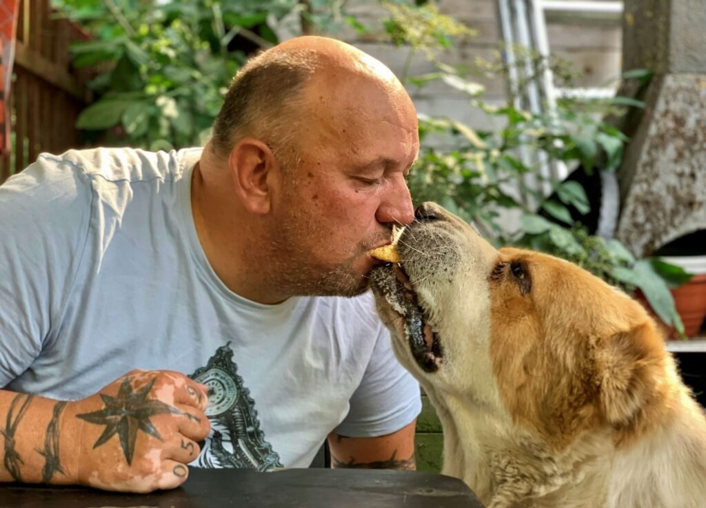 Is the Alabai Dog Dangerous? Best 7 Expert Tips!