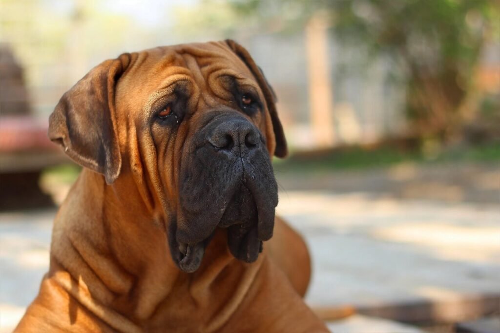 Funny Dog Names: Best 7 Expert Tips!