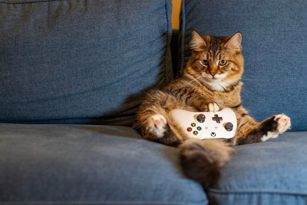 Why Is My Cat Peeing on My Bed? Best 7 Expert Tips!
