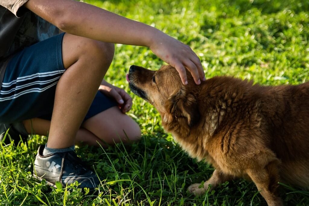 Why Does My Dog Bite My Feet? Best 7 Expert Tips!