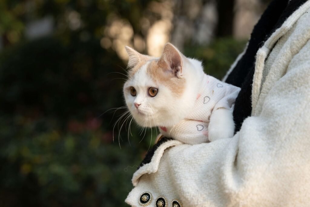 Why Is My Cat Skinny but Always Eating? Best 7 Expert Tips!