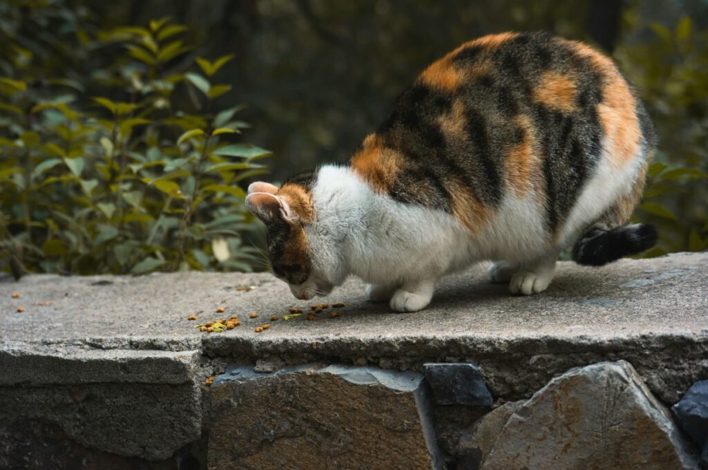 The Dangers of Cat Snake Bites: Best 7 Expert Tips!