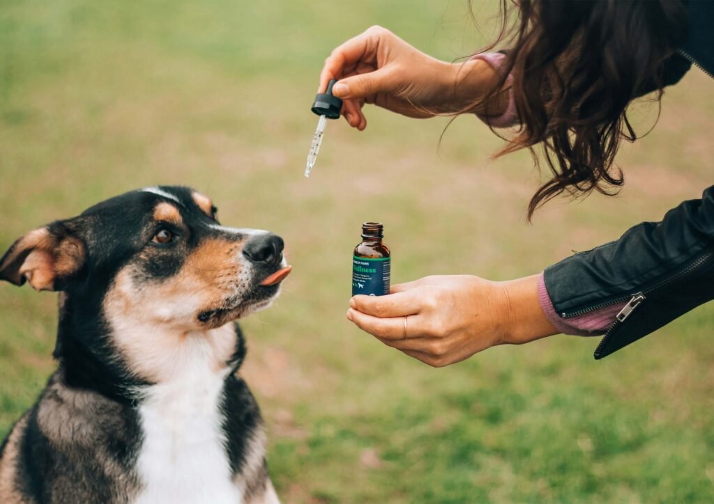 Why Is My Dog Shaking When Breathing? Best 7 Expert Tips!