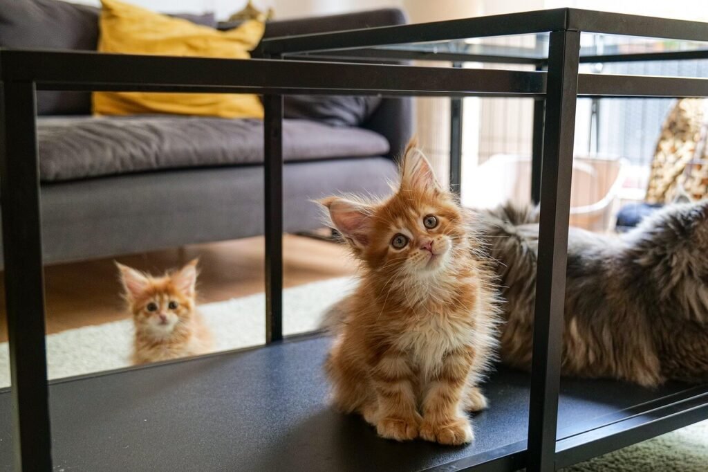 Why Do Cats Eat Plants? Best 7 Expert Tips!