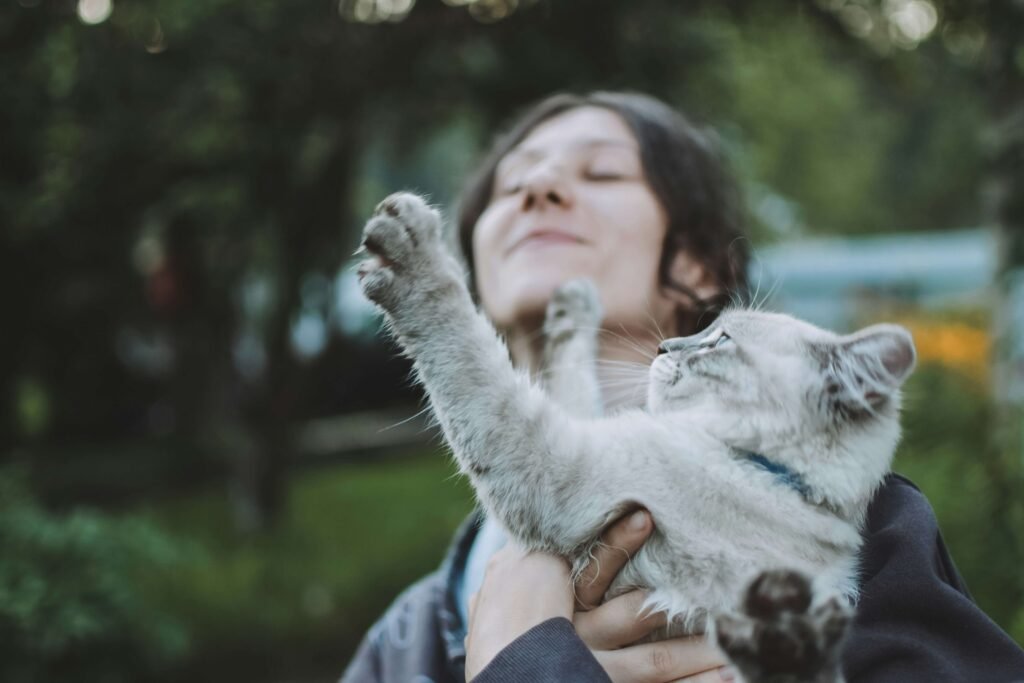 How to Hold a Cat: Best 7 Expert Tips!