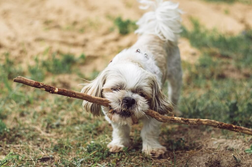 Are Milk Bones Bad for Dogs? Best 7 Expert Tips!