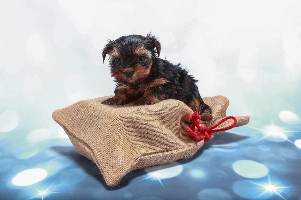 Brown Dog Girl Names: Best 7 Expert Tips!