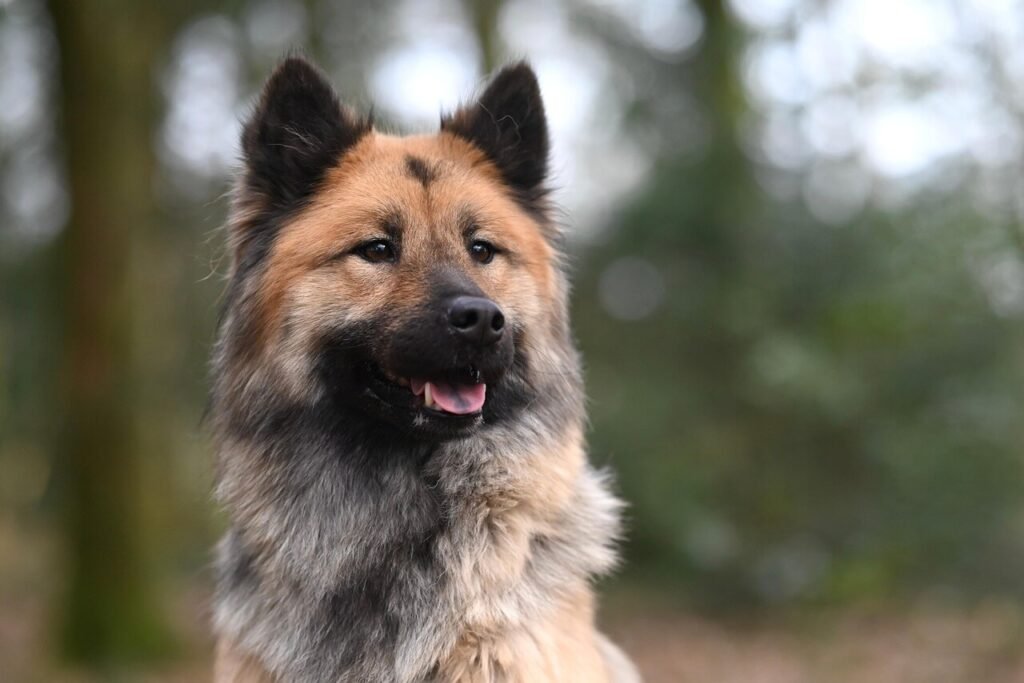 When Is a Dog Considered Fully Vaccinated? Best 7 Tips!