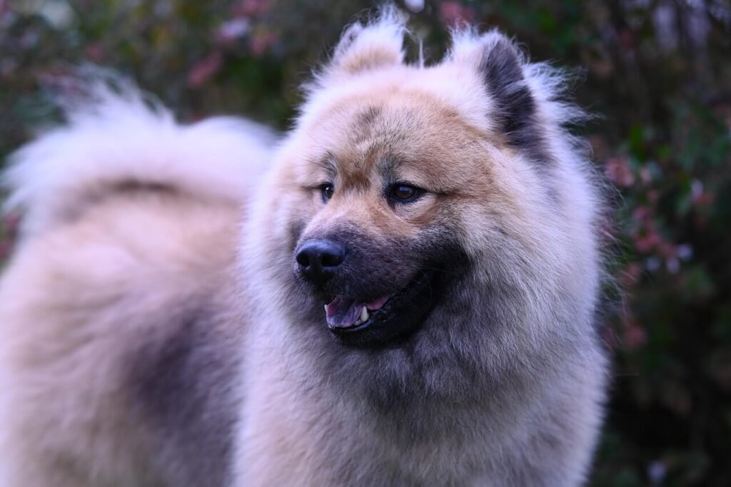 Can Dogs Cause Eczema? Best 7 Health Tips!