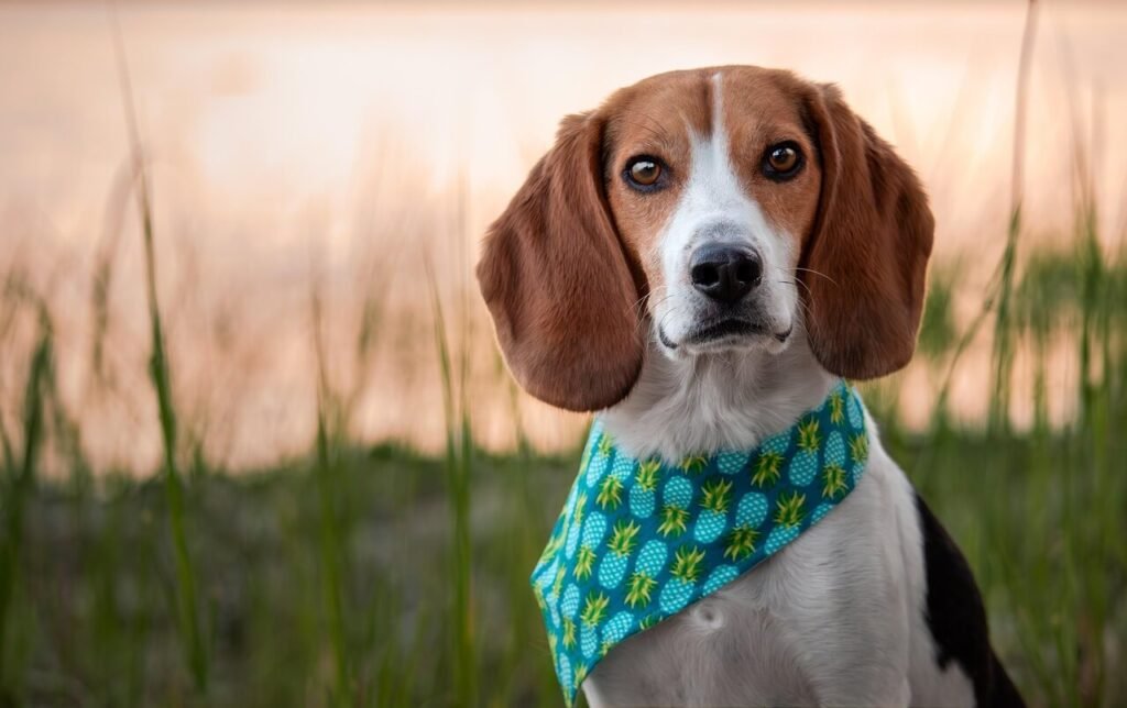 Can You Vaccinate a Pregnant Dog? Best 7 Health Tips!