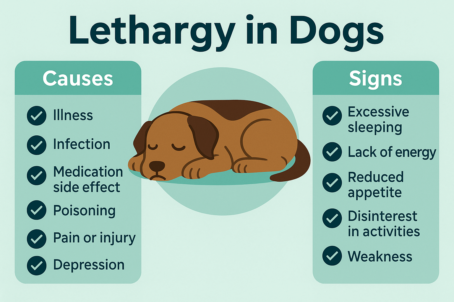 Understanding Lethargy in Dogs: Best 7 Expert Tips!