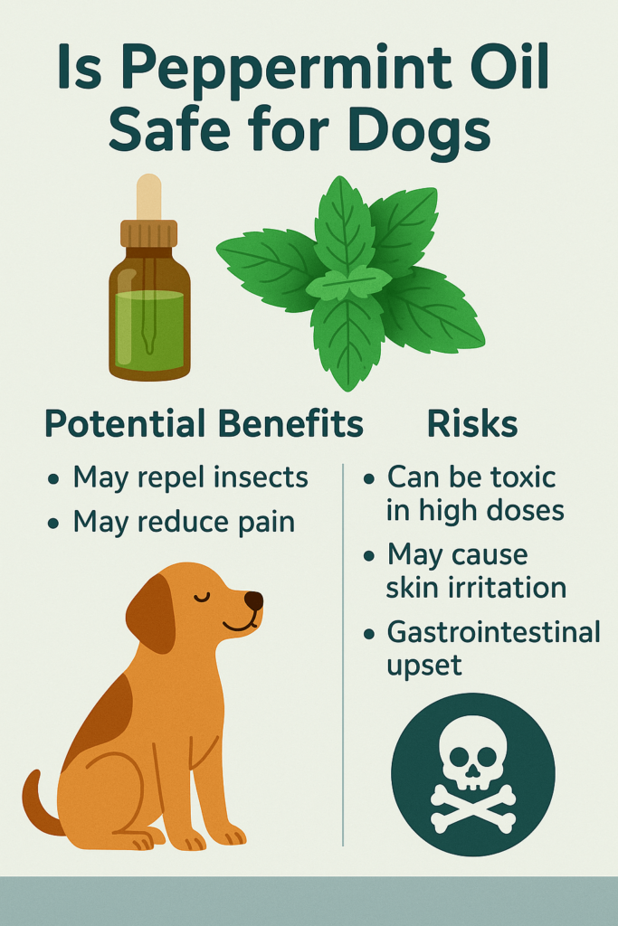 Is Peppermint Oil Safe for Dogs? Best 7 Expert Tips!